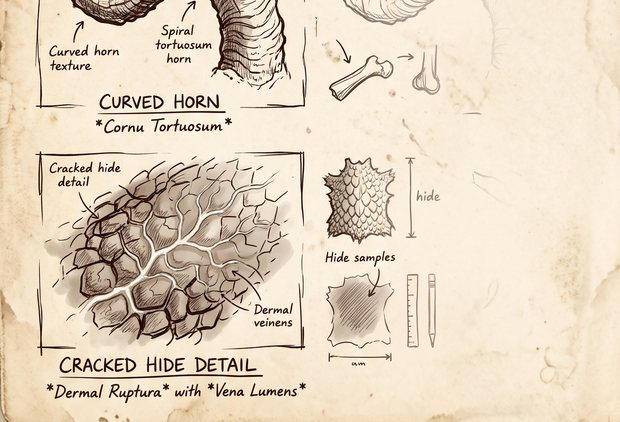 Estudio de bestiario